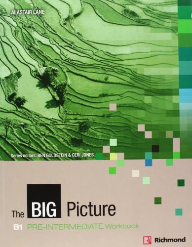 The Big Picture Pre-Intermediate Workbook Pack (Workbook and S