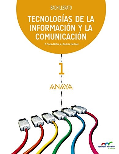 Tecnologías de la información y la comunicación, Bachillerato 1