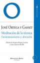 Meditación de la técnica: Ensimismamiento y alteración